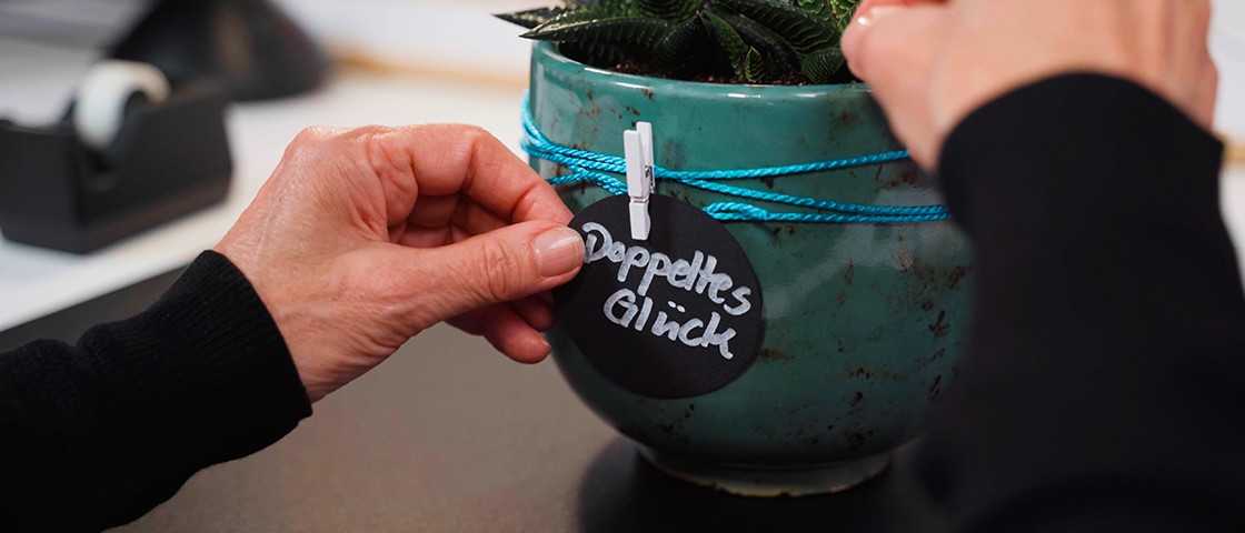 Geschenkanhänger mit Aufschrift "Doppeltes Glück" wird an Blumentopf befestigt | WestLotto Bastelidee