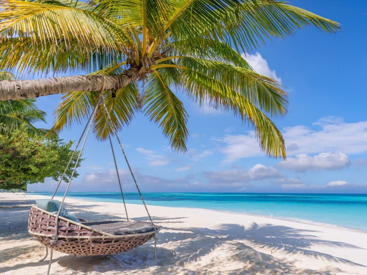 Hängematte hängt an einer Palme, die an einem Malediven-Strand steht | WestLotto Eurojackpot