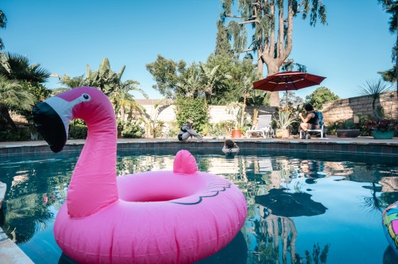 Aufblasbarer Flamingo schwimmt in einem Pool | Eurojackpot