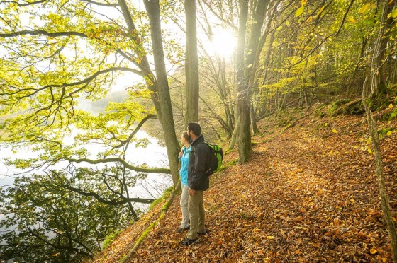 Eifelsteig | Westlotto Ausflugstipps
