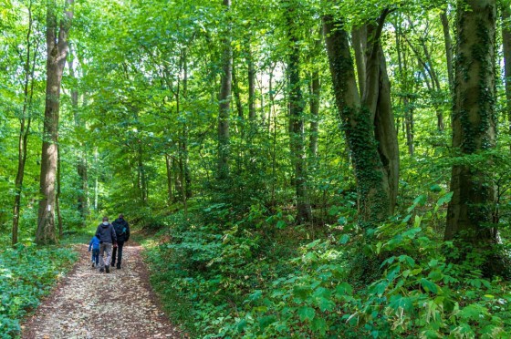 Tecklenburger Wald | Ausflugsort NRW