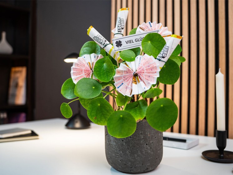 Topfpflanze mit zu Blüten geformten Eurojackpot-Spielscheinen | DIY