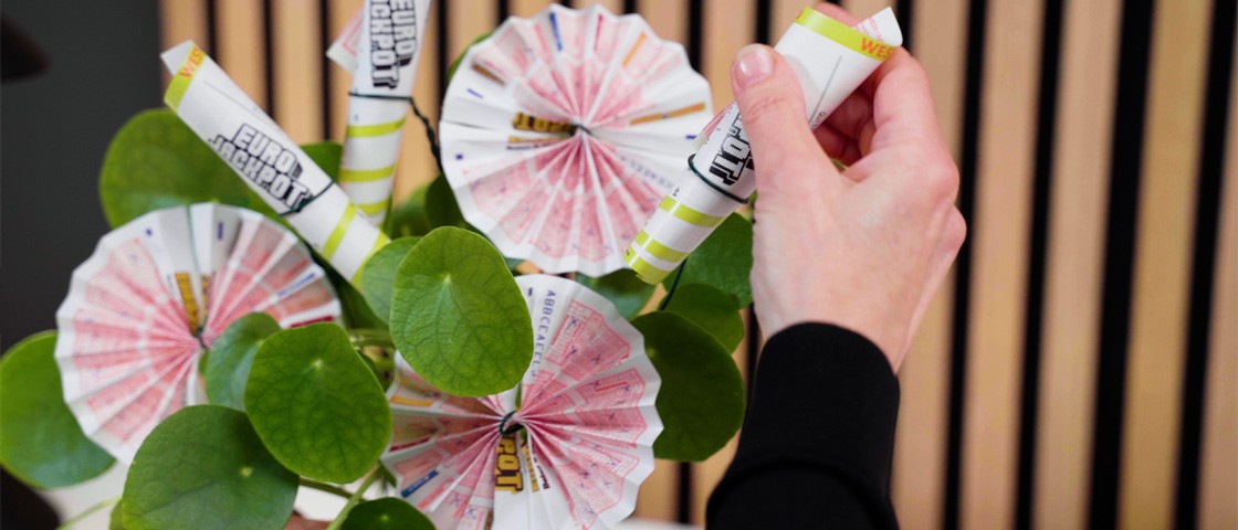 Eine Hand steckt einen gerollten Eurojackpot-Spielschein in eine Pflanze | DIY-Idee Lottoschein