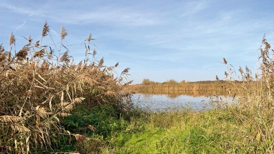 Weitwinkelaufnahme der Rieselfelder Münster | WestLotto Ausflugstipps