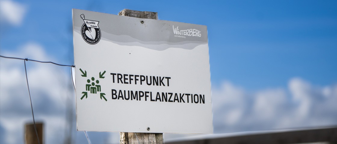 Ein Schild mit der Aufschrift "Treffpunkt Baumpflanzaktion" | Aktion Wunscherfüller